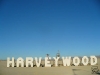 harveywood1c